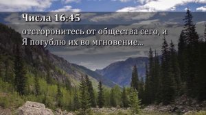 Эндрю Уоммак - Как лучше молится 8 (2017)