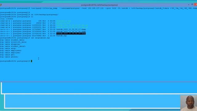 Restore deleted tables in PostgreSQL database смотреть онлайн