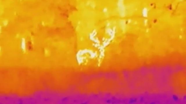 jelenie byki hikmicro lynx pro lh 25 смотреть онлайн