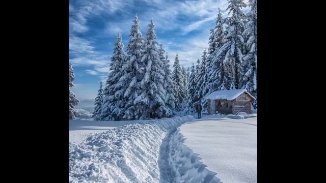 #за#честное#имя#Леночки#Лойко смотреть онлайн