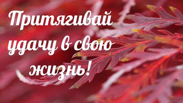 Саблиминал #притягивающийудачу смотреть онлайн