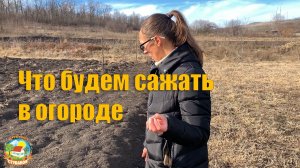 #96 Что посадим в огороде весной? Для чего нам фундамент