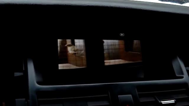 Видео теана! Nissan Teana J31