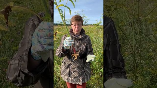 Мотивационные Речи