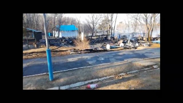 Два корпуса пионерлагеря Океан сгорело под Хабаровском смотреть онлайн