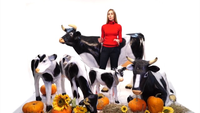 Объемные фигуры REKLAM.RU