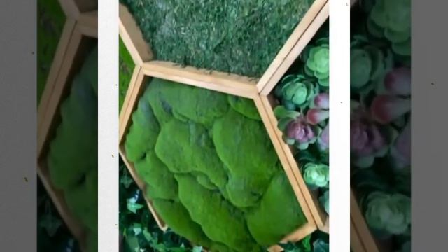 Фитостены и фитокартины. Царь Дверей смотреть онлайн