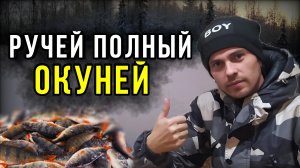 Зимняя рыбалка.Попали на дикий жор окуня, в ручье!!!