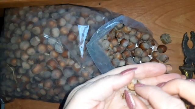 Фундук в скорлупе с Wildberries смотреть онлайн