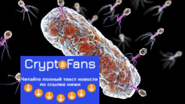Генно-модифицированные вирусы спасли тяжелобольного ребёнка с устойчивой к антибиотикам инфекцией смотреть онлайн