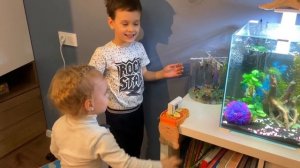 Ферма Бабочек. Выращиваем бабочек дома