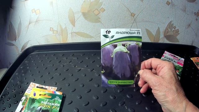 ОБЗОР ПРОВЕРЕННЫХ СОРТОВ БАКЛАЖАН ДЛЯ ПОСАДКИ НА 2021 ГОД. смотреть онлайн