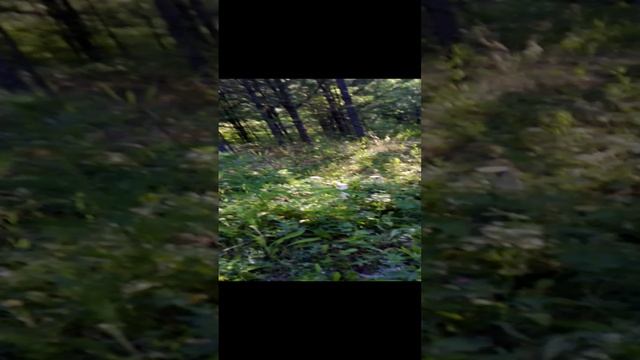 Приехали последним рейсом смотреть онлайн