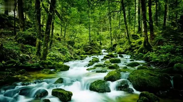 12 Hours Relaxing Music Music to Sleep, Study Relaxing Sounds, Soft Piano Music ☯312 2 смотреть онлайн