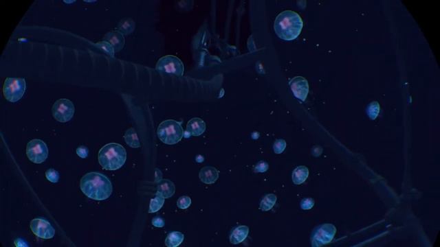 Vr shark attack смотреть онлайн