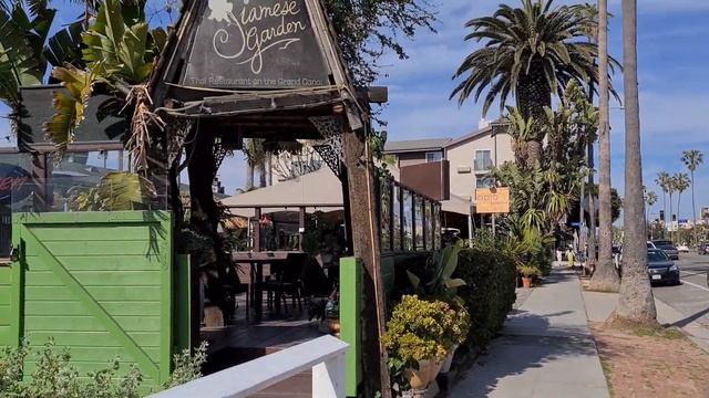 Улица с Венецианскими каналами Venice Beach. Наслаждаюсь атмосферой Тихого океана. смотреть онлайн