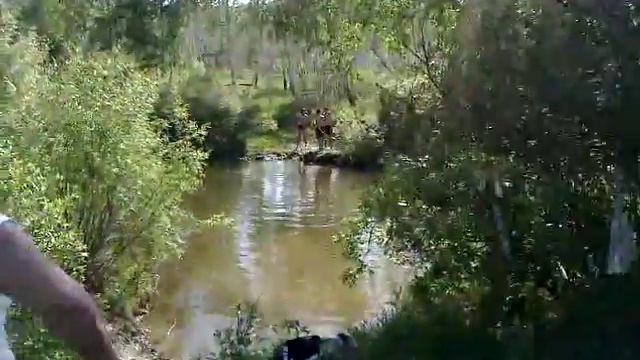 Видео с Угсахай 2012 года[Беззаботное время] смотреть онлайн