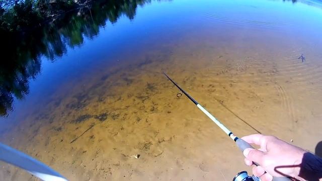 Воблер Fishycat Junglecat 140F,отзыв и игра на водоеме!