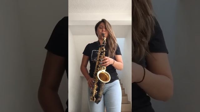 Solo de sax de LuisMiguel смотреть онлайн