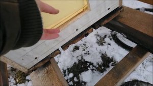 Как сделать дверцу для кошек. Женскими руками. Уличный домик для кошек.diy