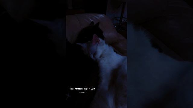 Вирус - Ты меня не ищи (speed up) смотреть онлайн