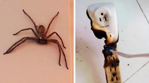 Фото. которые тебя удивят (часть 163)