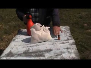 АСКОСФЕРОЗ (ИЗВЕСТКОВЫЙ РАСПЛОД) ПЧЁЛ.ПРИЧИНЫ И СПОСОБЫ ЛЕЧЕНИЯ.