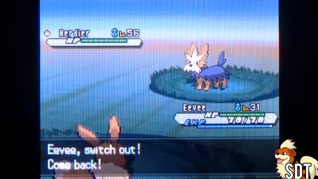 How to Get Umbreon - Pokemon Black 2 and White 2 смотреть онлайн