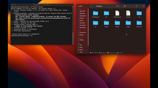 Flutter - Android Studio: Unable to find bundled Java version (Français) смотреть онлайн