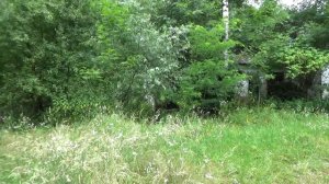 Пансионат в лесу. Обитель сумасшедшего... Заброшенные места Краснодарского края.