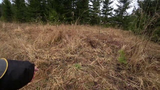 Ловим ротана на палку! Рыбалка как в детстве ! Путешествие во времени. смотреть онлайн