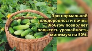 двойной суперфосфат удобрение применение