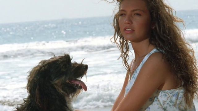 TELENOVELAS PROTAGONIZADAS POR ANIMALES!! смотреть онлайн