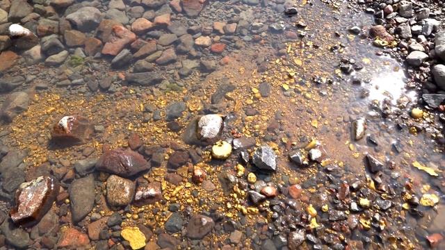 Gold-Rich Rivers Where You Can Still Find Treasure | Diamonds and Gold смотреть онлайн