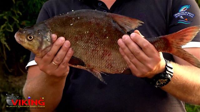 ФИДЕР 2017 КОНАКОВО смотреть онлайн