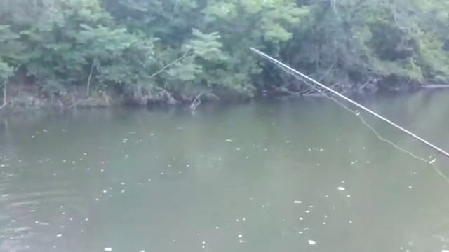 Drift Fishing Small-mouth and Catfish using Raven Tackle with DuPage Angler смотреть онлайн