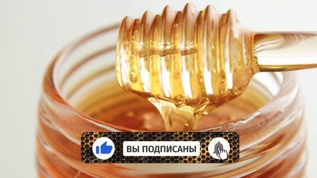 Кнопка подписки ютуб для канала про мед БЕСПЛАТНО на зеленом и прозрачном фоне смотреть онлайн