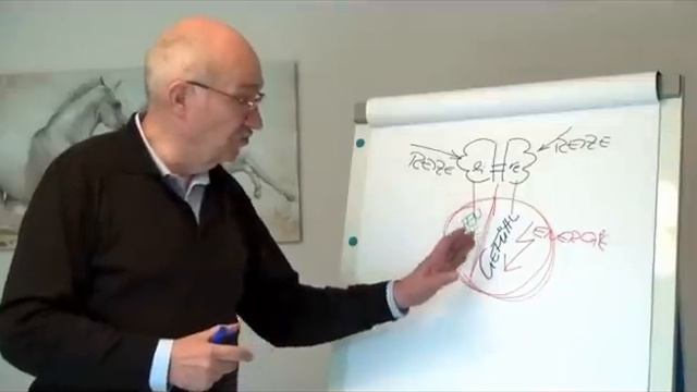 Ekkehard Zellmer - die Huna-Praxis gibt deinem Leben Kraft & Erfüllung - Basiswissen 2 von 8 смотреть онлайн