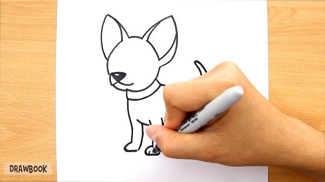 How To Draw A CHIHUAHUA PUPPY (chihuahua Teacup)