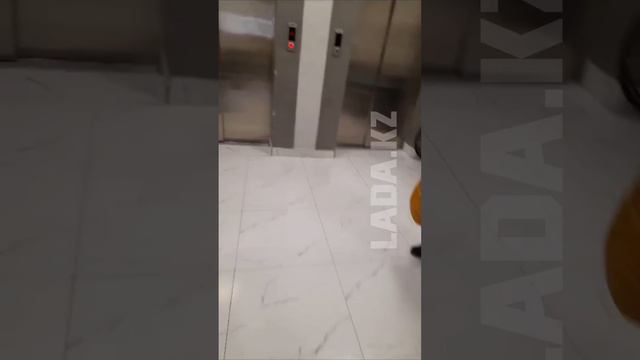 Смерть роженицы в Жанаозене смотреть онлайн