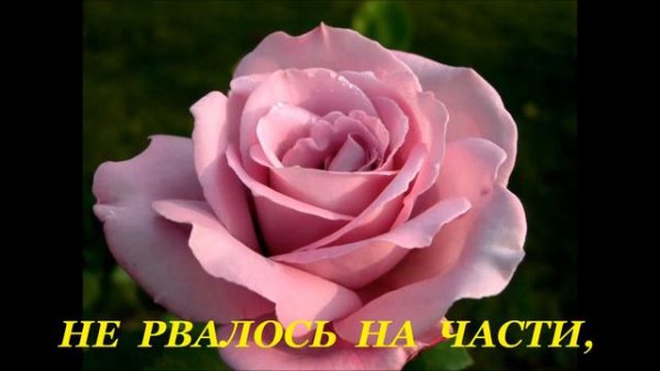 С днём рождения, ВЕНЕРА!