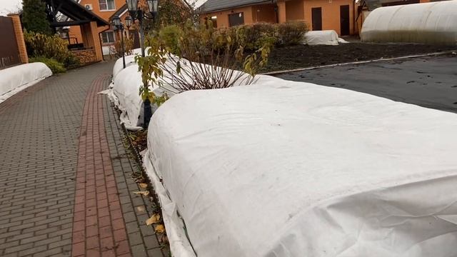 Розы. Укрываем розы на зиму эффективно и просто. Пересадки, посадки и другие работы завершены. смотреть онлайн