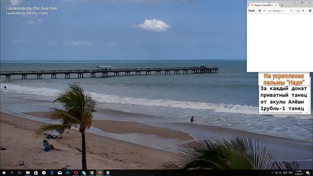 Копия видео "Пальма Гектор (Надя) живи* которая поборола ураган «Ирма»" смотреть онлайн