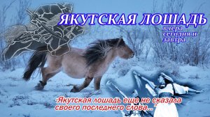 Якутская лошадь: прошлое, настоящее, будущее