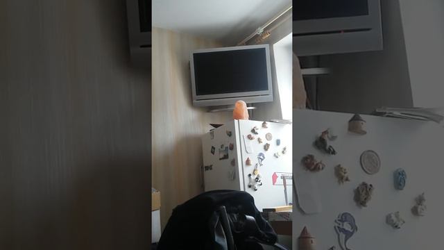 Дом бога РА смотреть онлайн