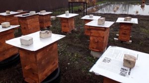 Какой краской красить улья? Обзор ульев. Готовимся к новому сезону.