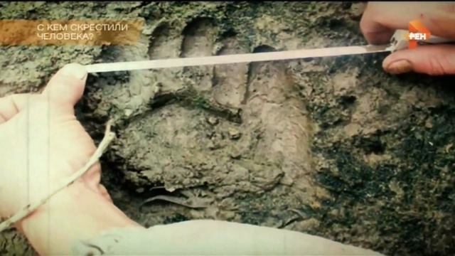 Самые шокирующие гипотезы C кем скрестили человека ? смотреть онлайн