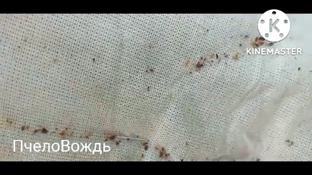 Осеняя обработка от клещей разными препаратами ЧАСТЬ-1.(Пчеловодство) Янги канага карши дорилар. смотреть онлайн