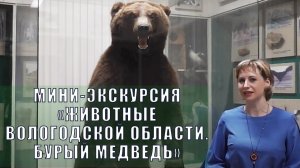 Вологодский музей онлайн / Мини-экскурсия «Животные Вологодской области. Бурый медведь»