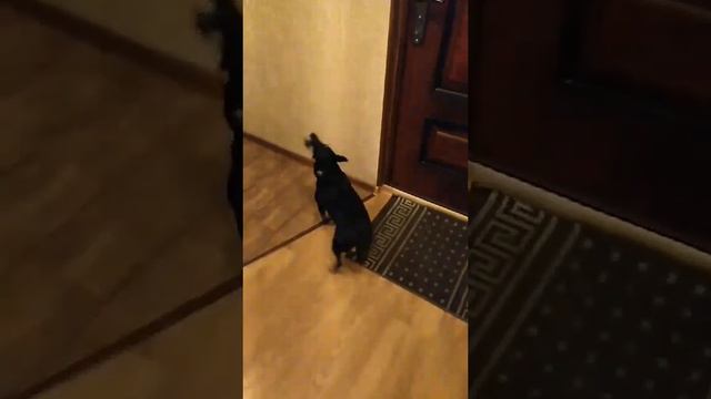 document 5317059050184127892 смотреть онлайн